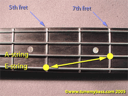 5th and 7th fret bass harmonics